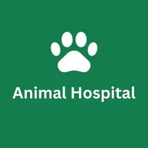 Animal (3)